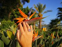 Flower of Light - Mood Ring - Sterling Silver 925