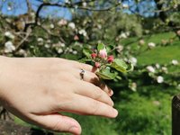 Little Angel - Mood Ring - 3 mm - AAA Crystal Quartz - Stainless Steel - High Quality
