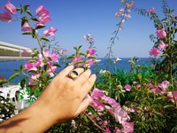 Northern Lights - Mood Ring - 15 mm - Sterling Silver 925 - AAA Crystal Quartz
