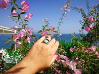 Northern Lights - Mood Ring - 15 mm - Sterling Silver 925 - AAA Crystal Quartz