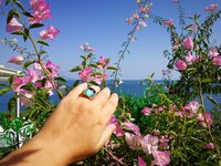 Northern Lights - Mood Ring - 15 mm - Gold Plated Sterling Silver 925 - AAA Crystal Quartz
