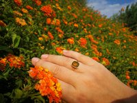 Duchess of the Fire Heart - Mood Ring - 9x7 mm - 24k Gold Plated Sterling Silver 925 - AAA Topaz