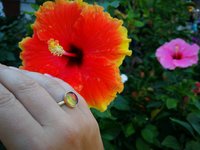 Essence of Enchantment - Mood Ring - 11x9 mm - 24k Gold Plated Sterling Silver 925 - AAA Topaz