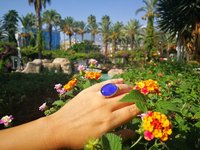 Holiday Ocean - Mood Ring - Crystal Quartz - 24x18 mm - Sterling Silver 925