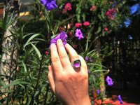 Northern Lights - Mood Ring - 15 mm - Sterling Silver 925 - AAA Crystal Quartz