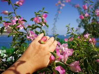 Golden Mirror of Beauty - Mood Ring - 30x20 mm - 24k gold plated Sterling Silver 925