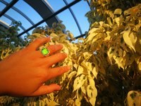 World of Mystery - Mood Ring - 15 mm - Sterling Silver 925 (pure or gold plated) - AAA Crystal Quartz