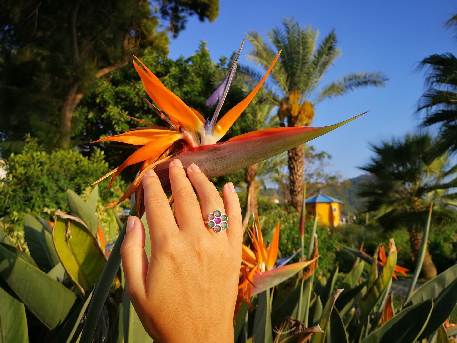 Flower of Light - Mood Ring - Sterling Silver 925