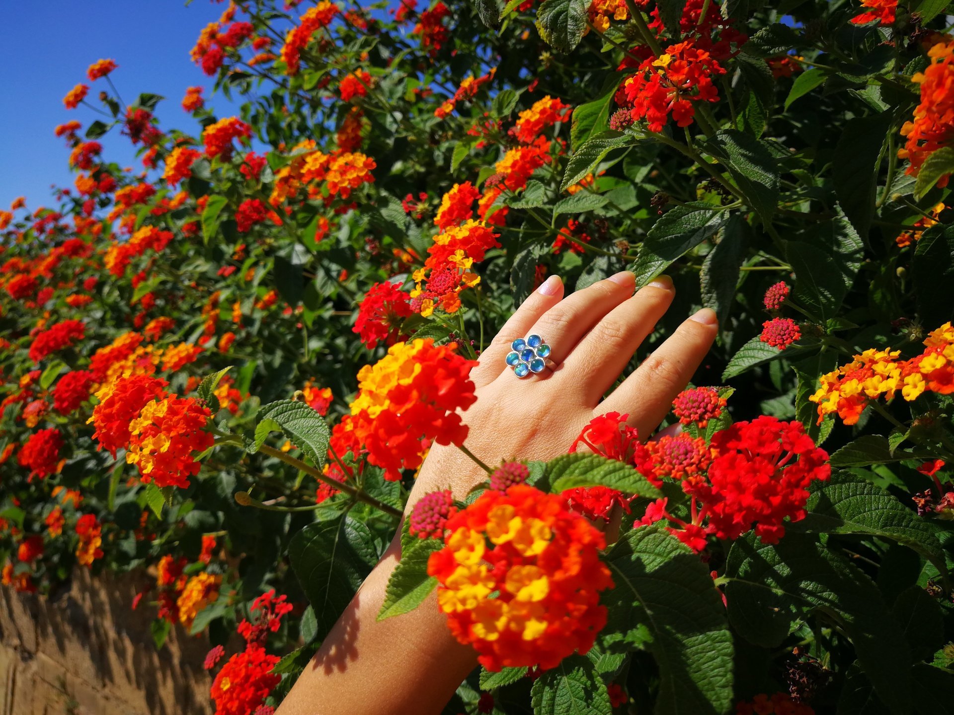 Flower of Light - Mood Ring - Sterling Silver 925