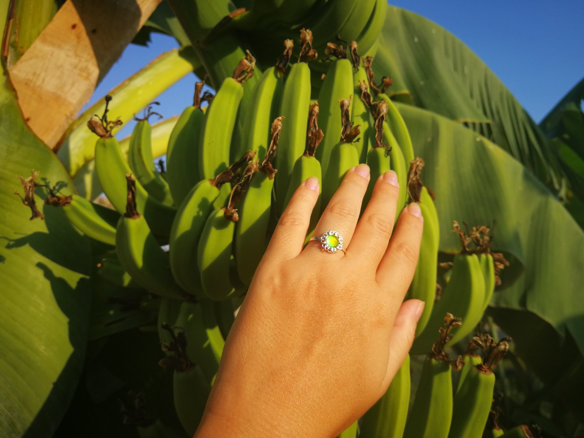 Princess of Blossoms - Mood Ring - 6 mm - Sterling Silver 925