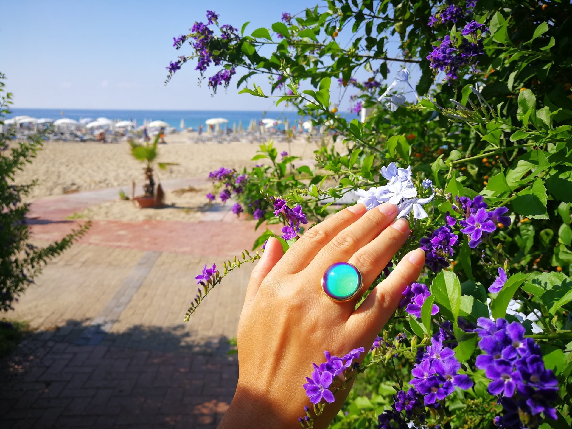 Golden Sun of Elegance - Mood Ring - 20 mm - 24K Gold Plated Sterling Silver 925