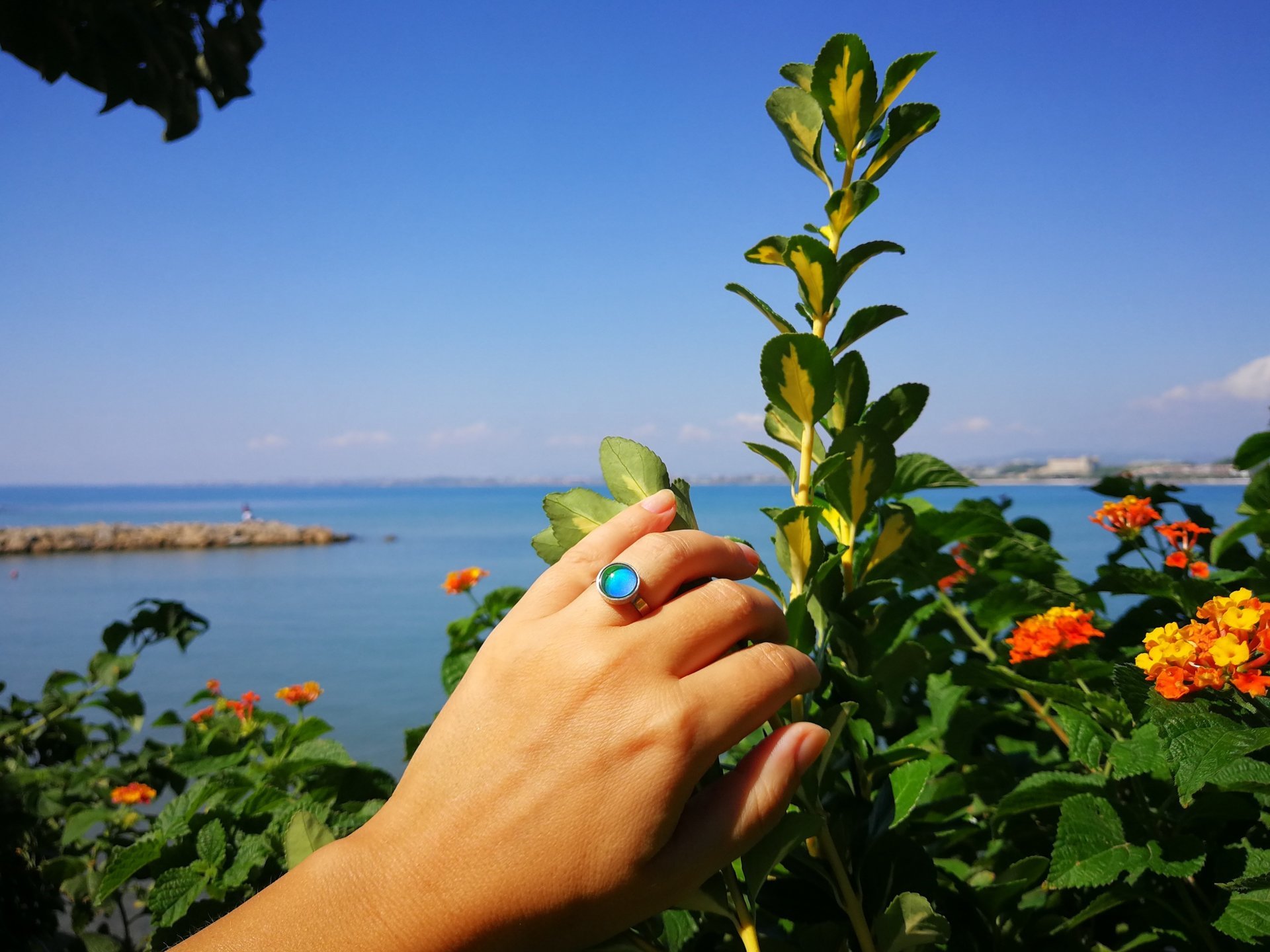 Princess of the Silver Light - Mood Ring - Adjustable or Non-Adjustable - 10 mm - Sterling Silver 925
