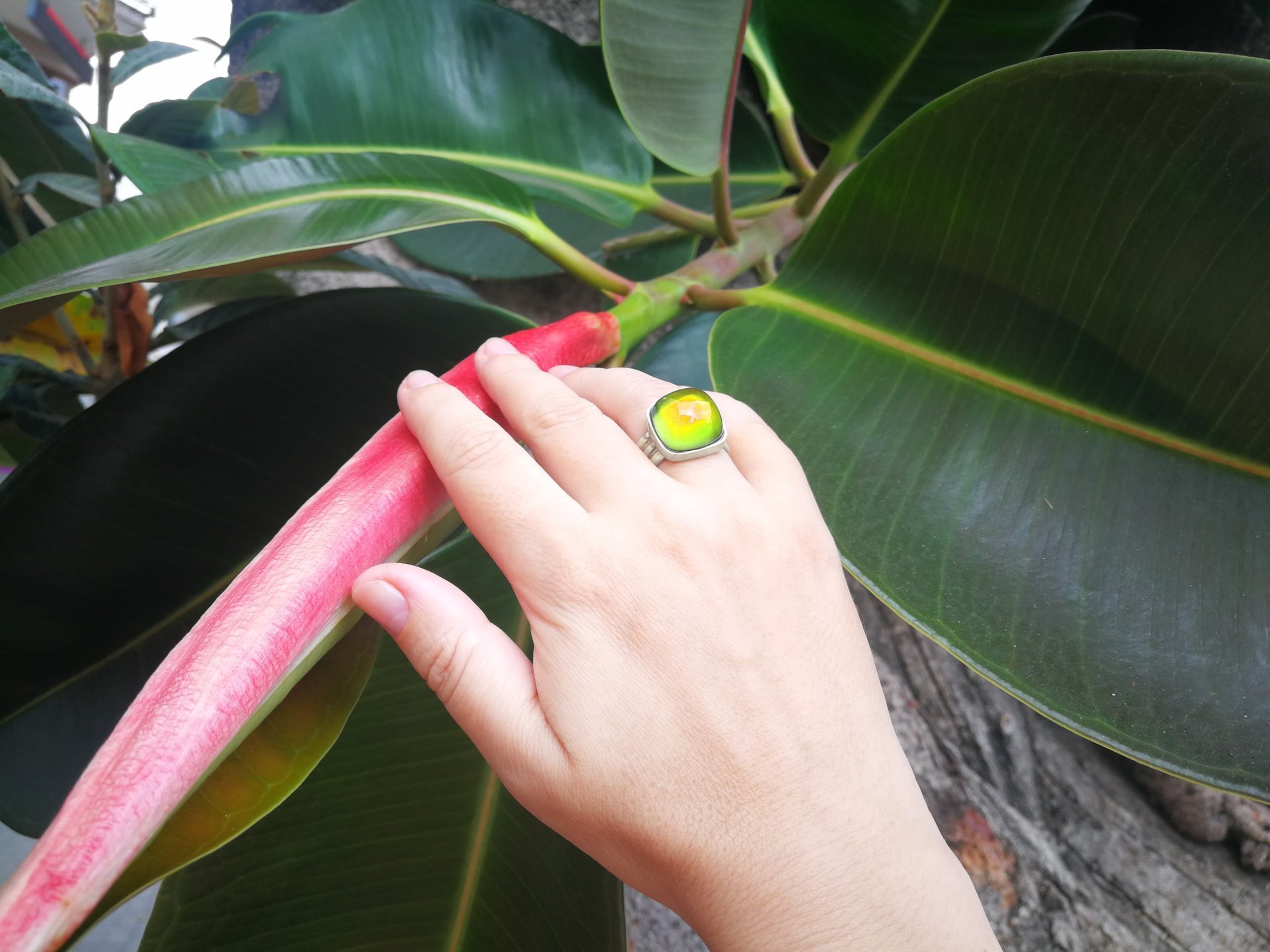 Northern Lights - Mood Ring - 15 mm - Sterling Silver 925 - AAA Crystal Quartz