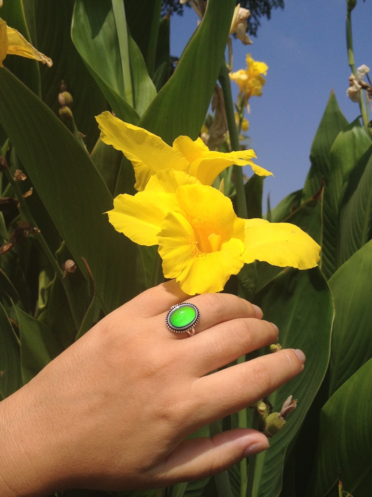Secret Princess of the Empire - Mood Ring - 14x10 mm - Sterling Silver 925