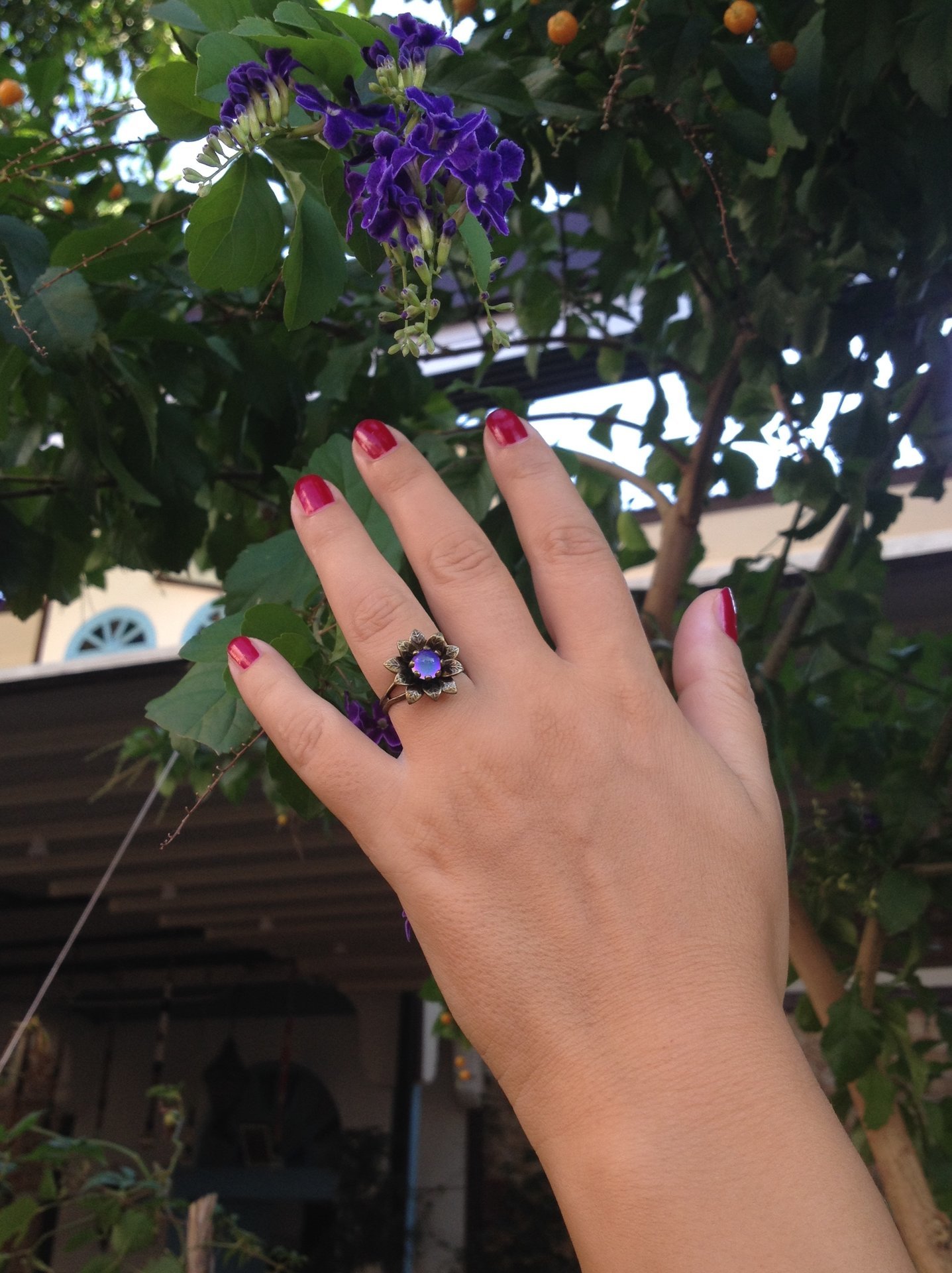Secret Princess of the Flower Kingdom - Mood Ring - Adjustable - 6 mm - Brass