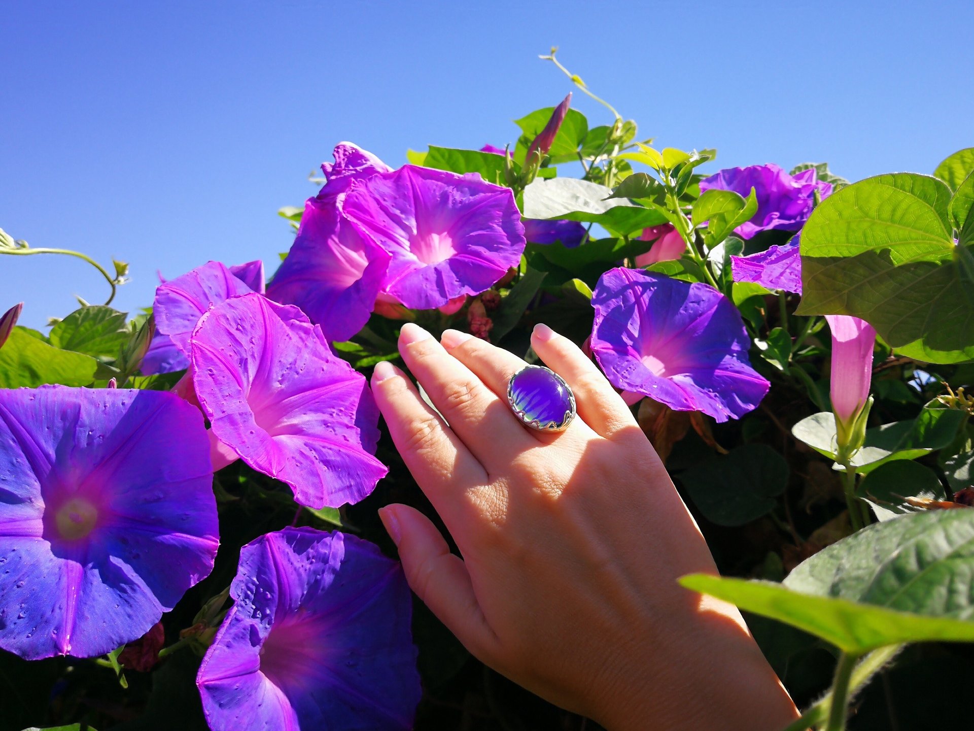 Queen of Hearts - Mood Ring - 25x18 mm - Sterling Silver 925
